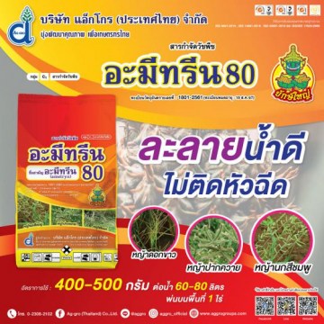 อะมีทรีน 80